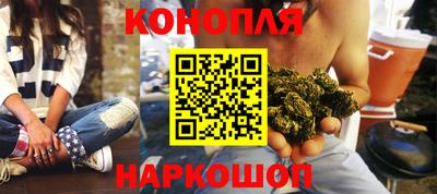 трава Бийск