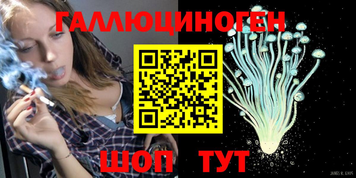 Псилоцибиновые грибы Cubensis  Вход с VPN  Камышин  Галлюциногенные грибы Psilocybine cubensis 